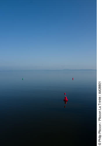 Port de Newhaven à Édimbourg - © Philip Plisson / Pêcheur d’Images / AA38801 - Nos reportages photos - Mer calme