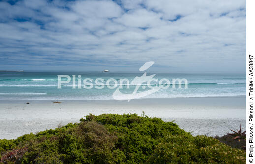 Yzerfontein - © Philip Plisson / Plisson La Trinité / AA38847 - Photo Galleries - Beach