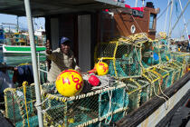 © Philip Plisson / Pêcheur d’Images / AA38880 Kalk Bay Harbour - Photo Galleries - Fishing equipment