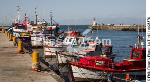 Kalk Bay Harbour - © Philip Plisson / Plisson La Trinité / AA38876 - Nos reportages photos - Port