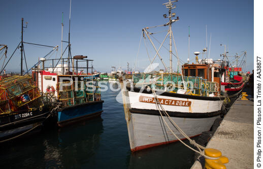 Kalk Bay Harbour - © Philip Plisson / Plisson La Trinité / AA38877 - Nos reportages photos - Materiel de pêche