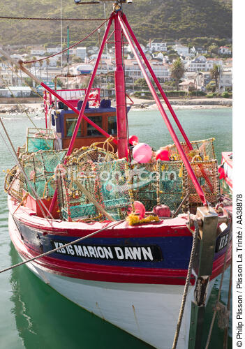 Kalk Bay Harbour - © Philip Plisson / Plisson La Trinité / AA38878 - Nos reportages photos - Materiel de pêche