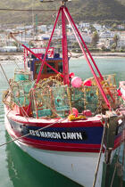 © Philip Plisson / Plisson La Trinité / AA38878 Kalk Bay Harbour - Photo Galleries - Fishing vessel