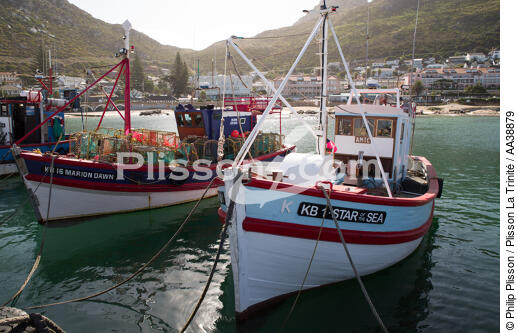 Kalk Bay Harbour - © Philip Plisson / Plisson La Trinité / AA38879 - Nos reportages photos - Afrique du Sud