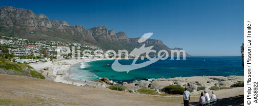 Le Cap - © Philip Plisson / Plisson La Trinité / AA38922 - Nos reportages photos - Afrique du Sud