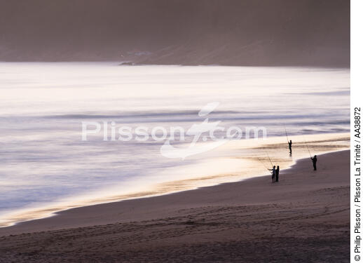 Wilderness - © Philip Plisson / Plisson La Trinité / AA38872 - Photo Galleries - Beach