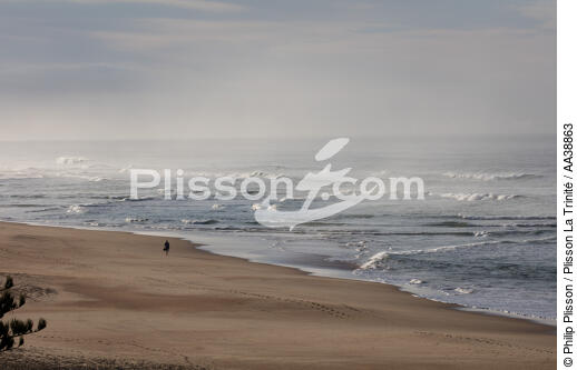 Wilderness - © Philip Plisson / Plisson La Trinité / AA38863 - Photo Galleries - Beach
