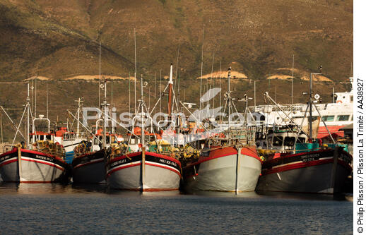 Port de Hout bay - © Philip Plisson / Plisson La Trinité / AA38927 - Nos reportages photos - Bateau de pêche