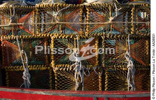 Port de Hout bay - © Philip Plisson / Plisson La Trinité / AA38931 - Nos reportages photos - Materiel de pêche