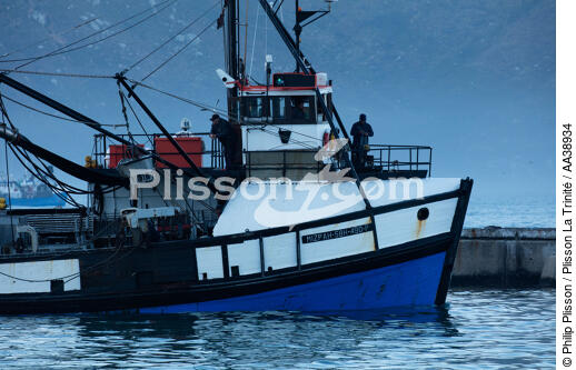 Hout bay harbor - © Philip Plisson / Plisson La Trinité / AA38934 - Photo Galleries - South Africa