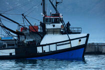 © Philip Plisson / Plisson La Trinité / AA38934 Port de Hout bay - Nos reportages photos - Bateau de pêche