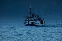 © Philip Plisson / Plisson La Trinité / AA38932 Hout bay harbor - Photo Galleries - Fishing