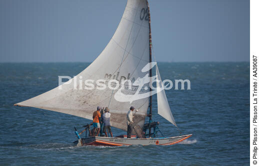 Jangaderos - © Philip Plisson / Plisson La Trinité / AA39087 - Nos reportages photos - Activité maritime