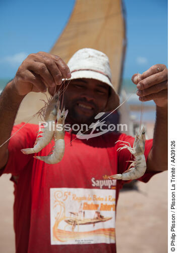 Jangaderos - © Philip Plisson / Plisson La Trinité / AA39126 - Photo Galleries - Vertical