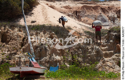 Jangaderos - © Philip Plisson / Plisson La Trinité / AA39077 - Nos reportages photos - Etat [Brésil]