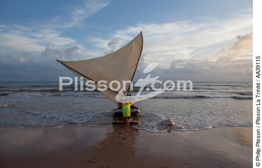 Jangaderos - © Philip Plisson / Plisson La Trinité / AA39115 - Nos reportages photos - Etat [Brésil]