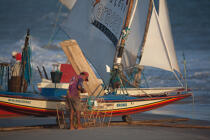 © Philip Plisson / Plisson La Trinité / AA39131 Jangaderos - Nos reportages photos - Pêcheur du monde