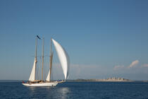 Croetia © Philip Plisson / Pêcheur d’Images / AA39157 - Photo Galleries - Traditional sailing