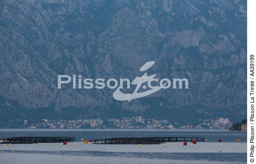 Bouches de Kotor - © Philip Plisson / Plisson La Trinité / AA39199 - Photo Galleries - Montenegro