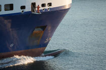 © Philip Plisson / Plisson La Trinité / AA39267 Etrave - Nos reportages photos - Elément d'un bateau