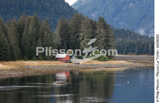 Alaska - © Philip Plisson / Plisson La Trinité / AA39283 - Nos reportages photos - Cabane