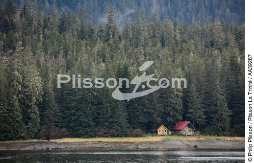 Alaska - © Philip Plisson / Plisson La Trinité / AA39287 - Photo Galleries - Forest