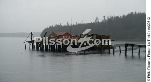Alaska - © Philip Plisson / Plisson La Trinité / AA39313 - Nos reportages photos - Port