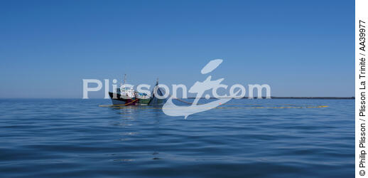 Pêche à la sardine - © Philip Plisson / Plisson La Trinité / AA39977 - Nos reportages photos - Type vue