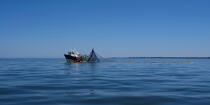 © Philip Plisson / Pêcheur d’Images / AA39977 Sardine fishing - Photo Galleries - Fishing vessel