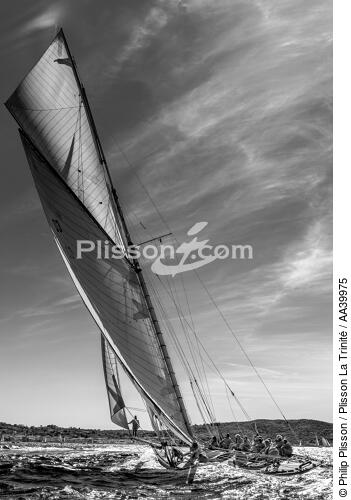 Tuiga, 15 mètres JI - © Philip Plisson / Plisson La Trinité / AA39975 - Nos reportages photos - Vue non aérienne