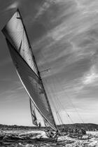 © Philip Plisson / Pêcheur d’Images / AA39975 Tuiga, 15 meters JI - Photo Galleries - Sailing boat