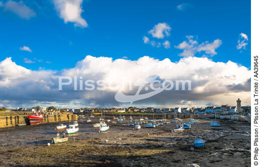 Low sea in the port of Roscoff - Brittany - © Philip Plisson / Plisson La Trinité / AA39645 - Photo Galleries - Roscoff