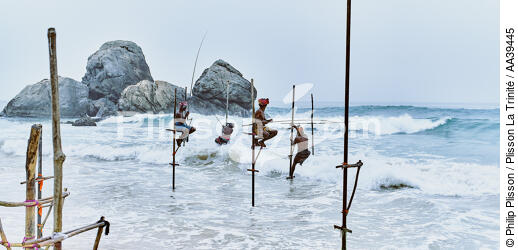 Fishermen on a stick in Sri Lanka - © Philip Plisson / Plisson La Trinité / AA39445 - Photo Galleries - Keywords