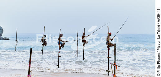 Pêcheurs sur échasse au Sri Lanka - © Philip Plisson / Plisson La Trinité / AA39448 - Nos reportages photos - Pays étranger