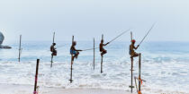 © Philip Plisson / Plisson La Trinité / AA39448 Pêcheurs sur échasse au Sri Lanka - Nos reportages photos - Métier