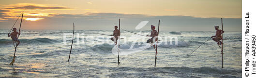 Pêcheurs sur échasse au Sri Lanka - © Philip Plisson / Plisson La Trinité / AA39450 - Nos reportages photos - Pays étranger