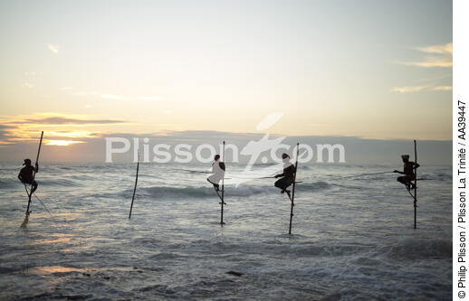 Pêcheurs sur échasse au Sri Lanka - © Philip Plisson / Plisson La Trinité / AA39447 - Nos reportages photos - Pays étranger