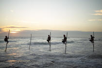 © Philip Plisson / Plisson La Trinité / AA39447 Pêcheurs sur échasse au Sri Lanka - Nos reportages photos - Pêcheur