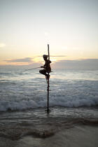 © Philip Plisson / Plisson La Trinité / AA39452 Fishermen on a stick in Sri Lanka - Photo Galleries - Foreign country
