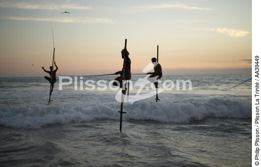 Pêcheurs sur échasse au Sri Lanka - © Philip Plisson / Plisson La Trinité / AA39449 - Nos reportages photos - Mots clés