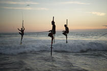 © Philip Plisson / Plisson La Trinité / AA39449 Fishermen on a stick in Sri Lanka - Photo Galleries - Keywords