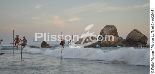 Pêcheurs sur échasse au Sri Lanka - © Philip Plisson / Plisson La Trinité / AA39451 - Nos reportages photos - Mots clés