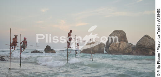 Pêcheurs sur échasse au Sri Lanka - © Philip Plisson / Plisson La Trinité / AA39453 - Nos reportages photos - Vue non aérienne