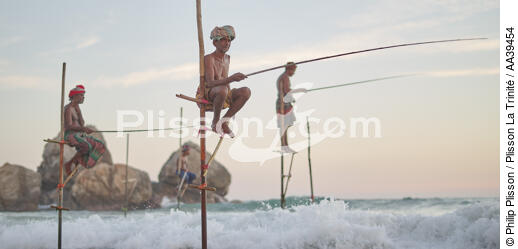 Pêcheurs sur échasse au Sri Lanka - © Philip Plisson / Plisson La Trinité / AA39454 - Nos reportages photos - Pays étranger