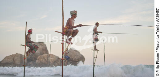 Pêcheurs sur échasse au Sri Lanka - © Philip Plisson / Plisson La Trinité / AA39457 - Nos reportages photos - Personnage