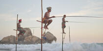 © Philip Plisson / Plisson La Trinité / AA39457 Fishermen on a stick in Sri Lanka - Photo Galleries - Fishing