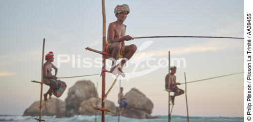 Pêcheurs sur échasse au Sri Lanka - © Philip Plisson / Plisson La Trinité / AA39455 - Nos reportages photos - 16/9 horizontal