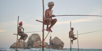 © Philip Plisson / Plisson La Trinité / AA39455 Fishermen on a stick in Sri Lanka - Photo Galleries - Keywords