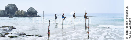 Pêcheurs sur échasse au Sri Lanka - © Philip Plisson / Plisson La Trinité / AA39475 - Nos reportages photos - Vue non aérienne