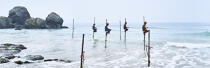 © Philip Plisson / Plisson La Trinité / AA39475 Pêcheurs sur échasse au Sri Lanka - Nos reportages photos - Vue non aérienne